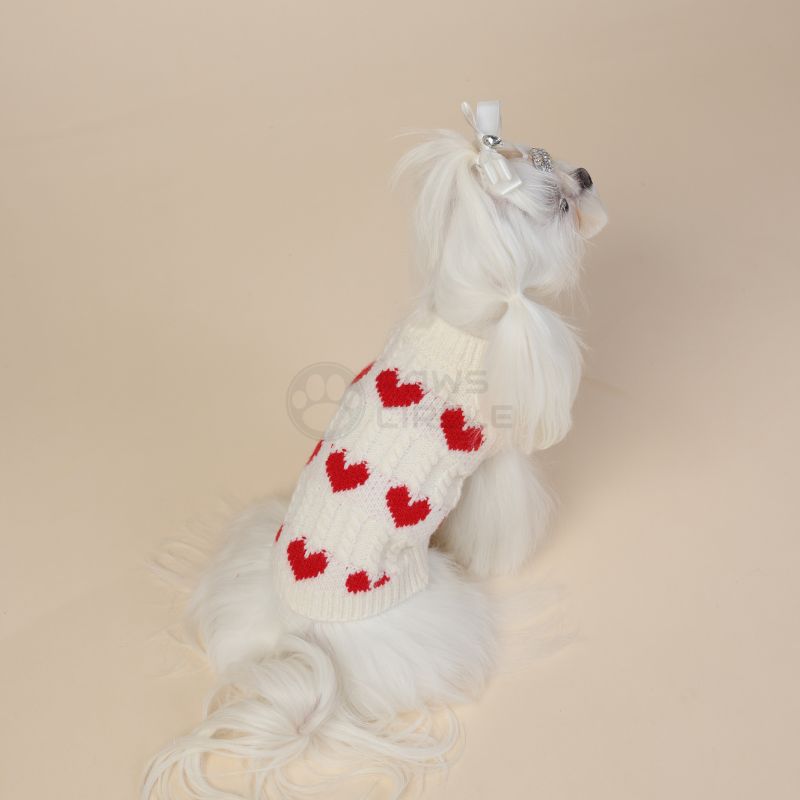 valentine sweater for dogs