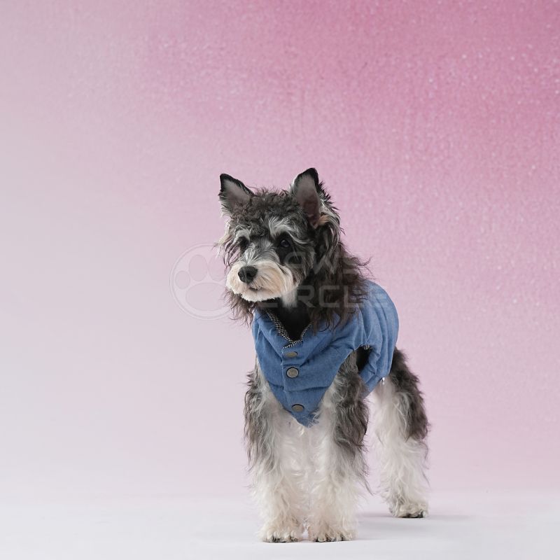 reversible gingham puffer vest for dogs