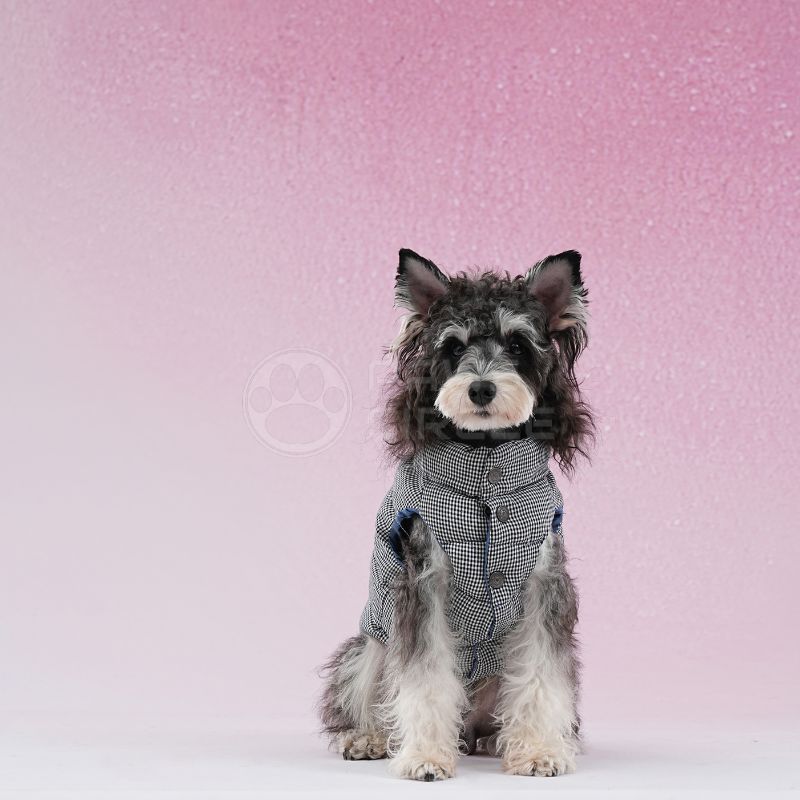 reversible gingham puffer vest for dogs