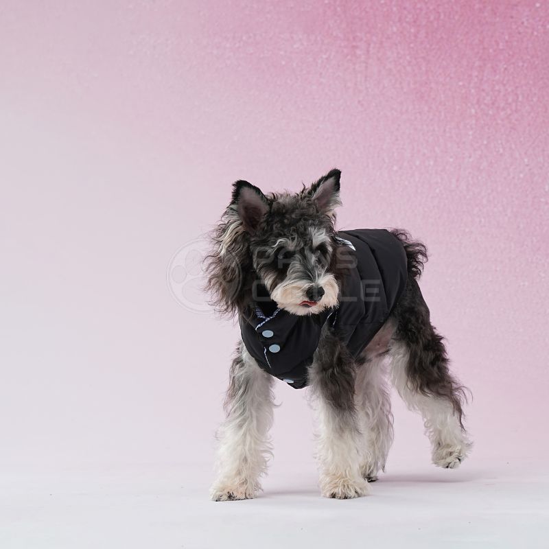 reversible plaid jacket for dogs