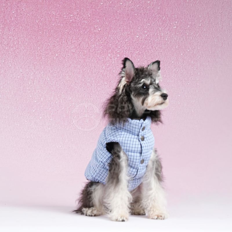 reversible plaid jacket for dogs