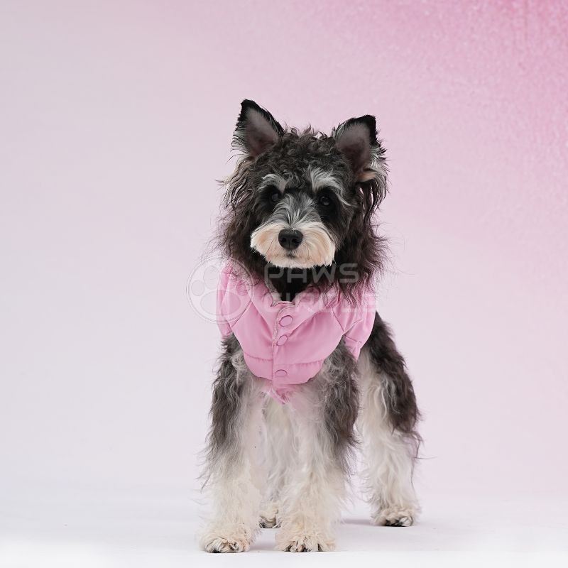 PINK PLAID REVERSIBLE VEST FOR DOGS