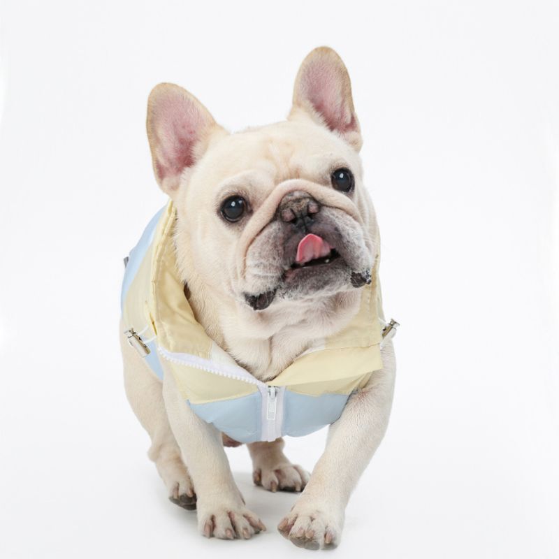 Two Tone jacket with packable hood for dog