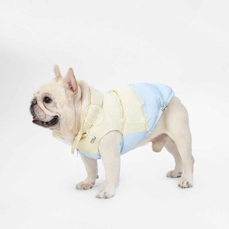 Two Tone jacket with packable hood for dog