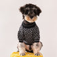 versace medusa sweater for dog