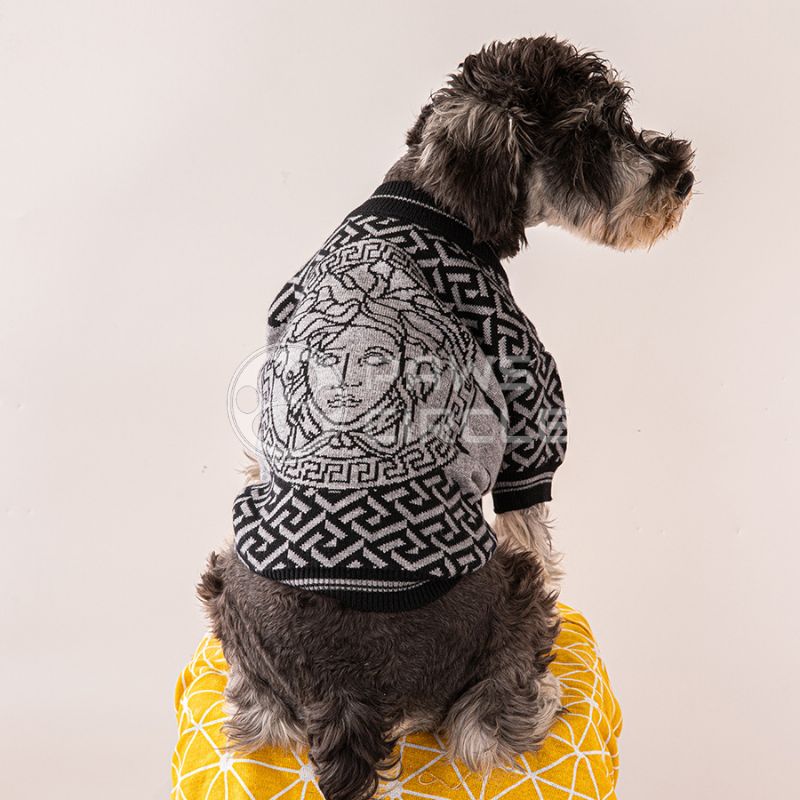 Versace dog clearance coat