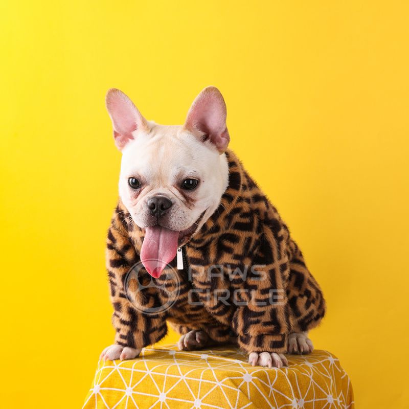 fendi fur coat for dog