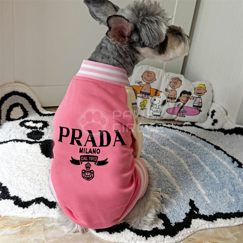 Dog wearing a pink 'Prada' outfit on a rug with a cartoon pillow in the background
