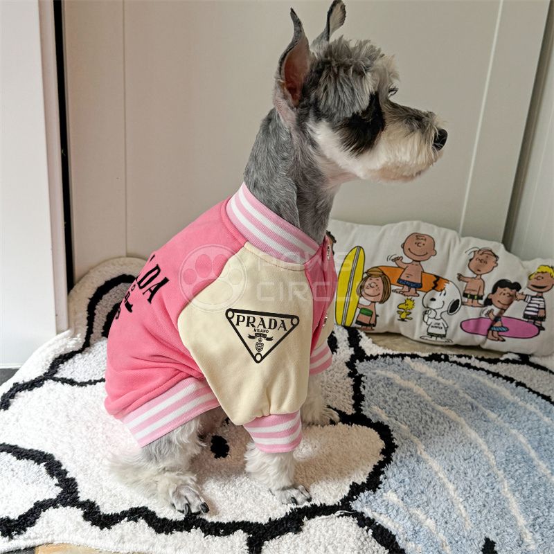 Dog wearing a pink and beige Prada outfit on a rug with a cartoon pillow in the background.