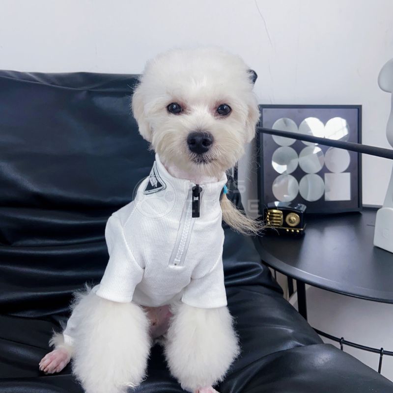 prada half zip four legged dog sweatsuit