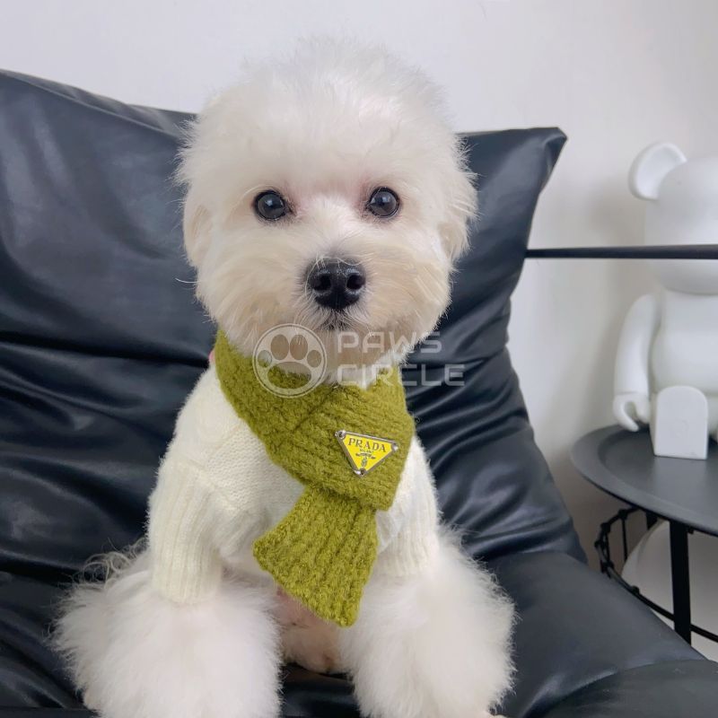 Prada knit scarf for dog