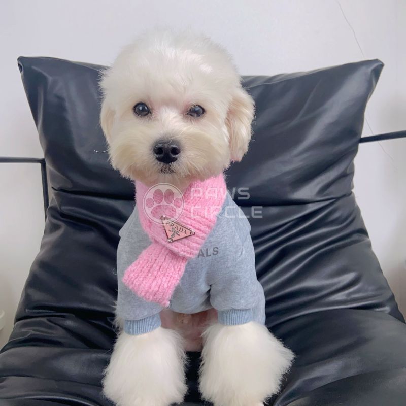Prada knit scarf for dog