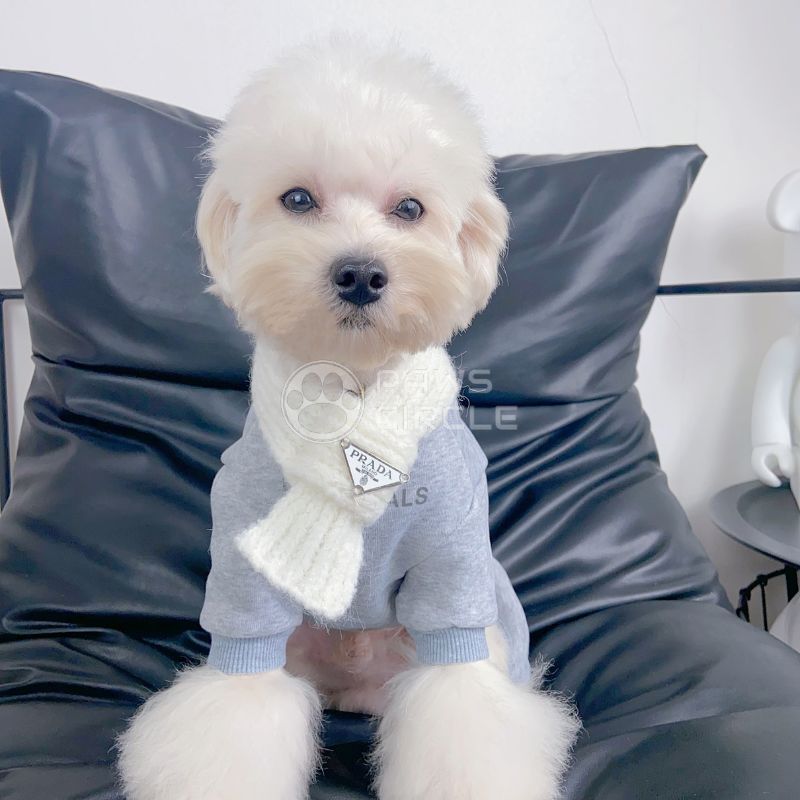 Prada knit scarf for dog