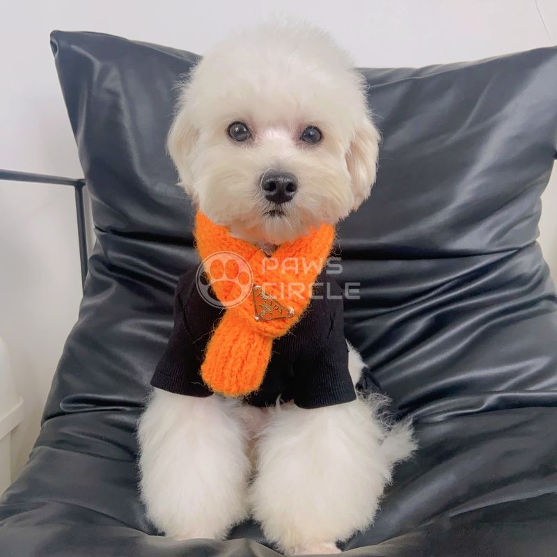 Prada knit scarf for dog