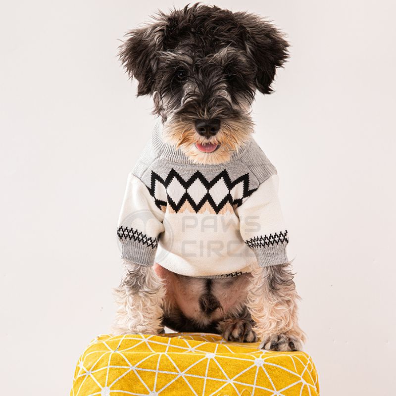 prada sweater for dog