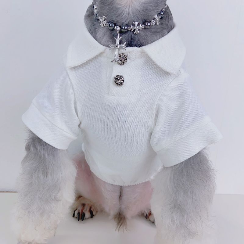 Small dog wearing a white outfit with a gray hat and decorative collar on a white background
