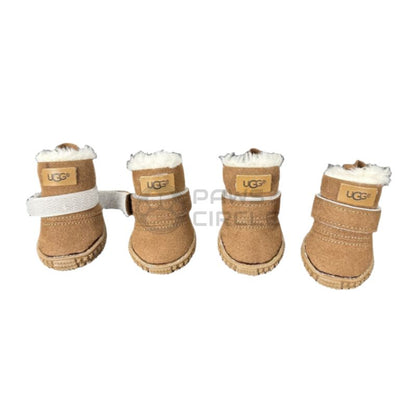 ugg boots for dog