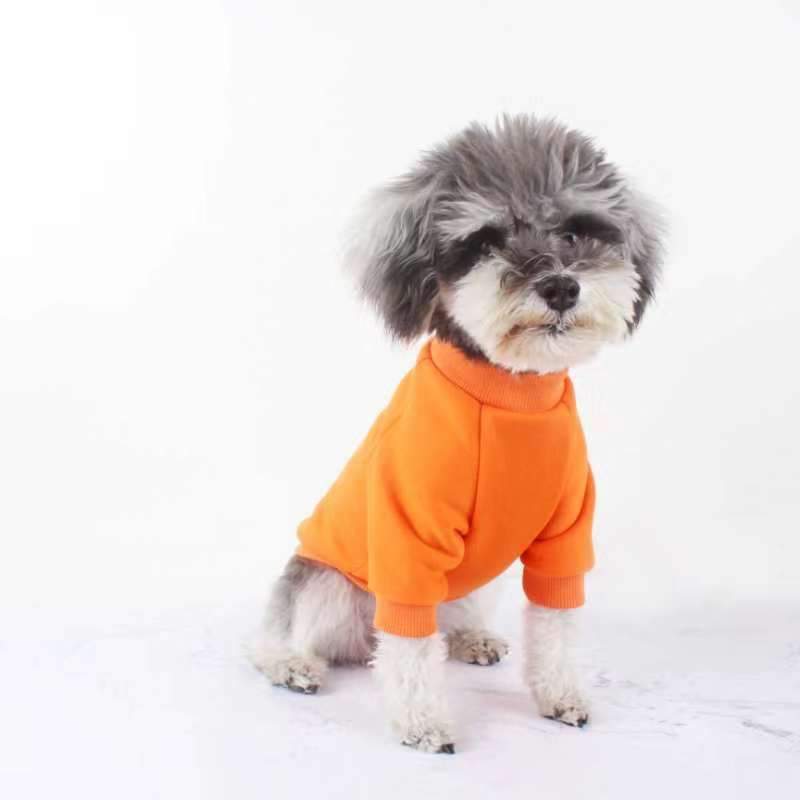 Classic dog sweater in orange colour