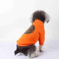 Designer dog sweater in orange colour