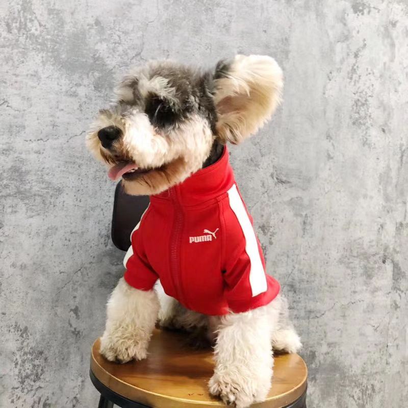 LV dog coat  Cute dog clothes, Puppy coats, Dog clothes