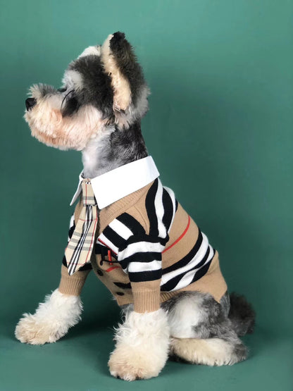 designer dog jacket with tie