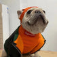 supreme box logo dog jumper orange colour
