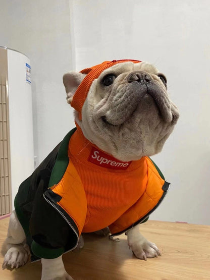 supreme box logo dog jumper orange colour
