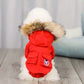 Red colour dog jacket from Canada Goose