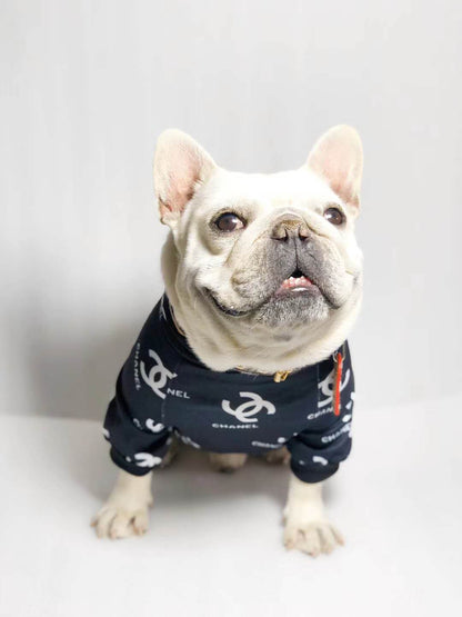 French Bulldog wearing Chanel Hoodie