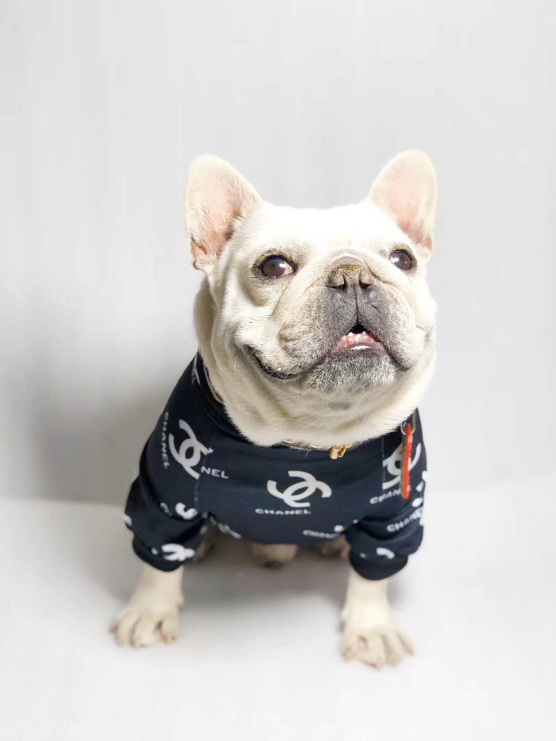 Designer dog clothes,chanel dog coat - China Designer dog clothes