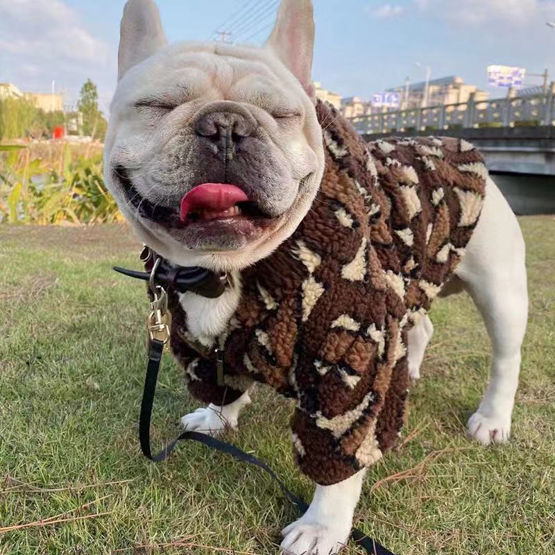 Designer dog sale coats burberry