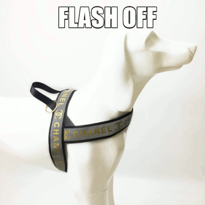 Chanel dog collar sales authentic