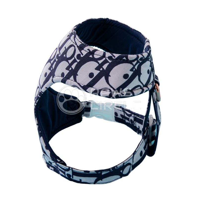 Chewing Dogior Monogram Harness & Leash