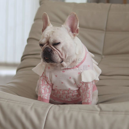dior sweater for frenchie