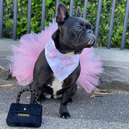 Chanel for Dog