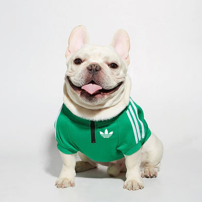 Green Adidog dog jacket
