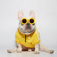 Yellow dog streetwear jacket
