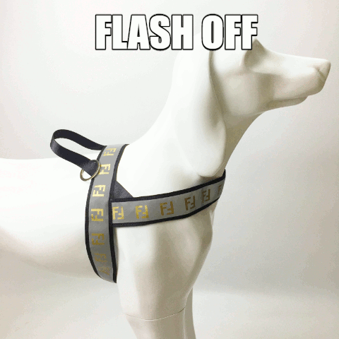 Fendi reflective dog harness and leash walking set
