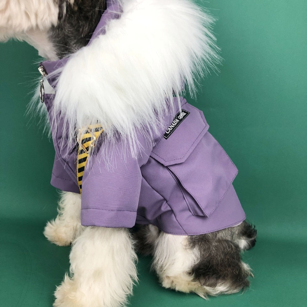 Canada goose military style pocket jacket for dog