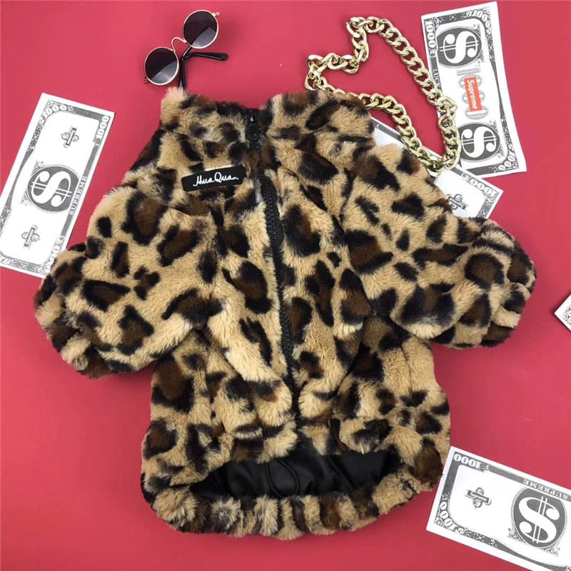 Trendy leopard print dog jacket