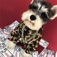 dog coat with leopard print