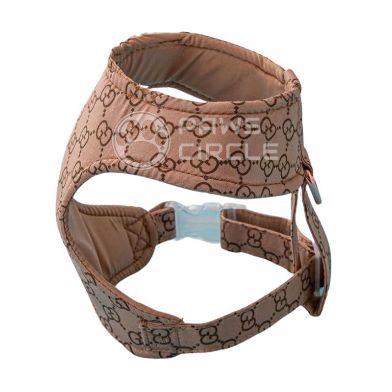 Gucci Dog harness and leash, dog Accessories