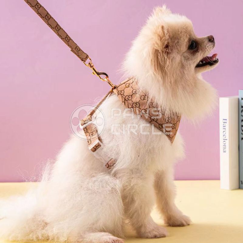 Goochi Shoelace Tee | Paws Circle | Designer Dog Clothes S / White