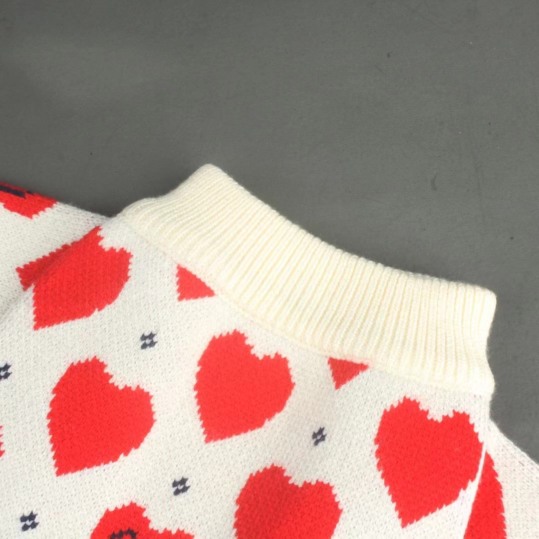 Red Heart Dog Sweater