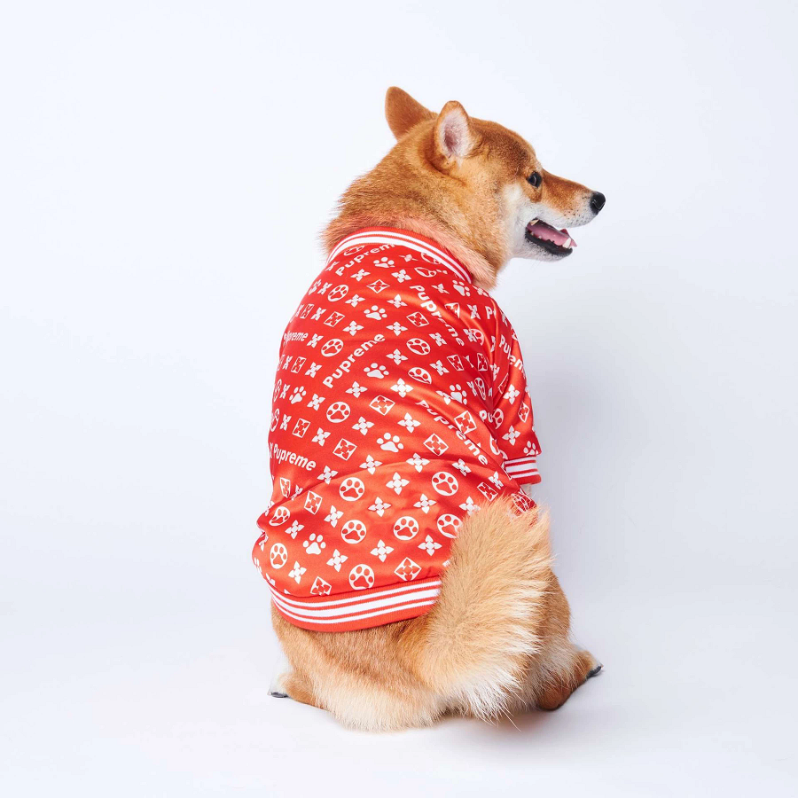 Pupreme Monogram Bomber Jacket Paws Circle Streetwear For Dog