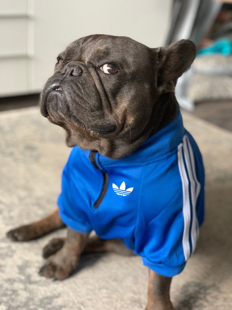 Blue Adidas Dog Track Jacket