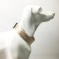 LV Humanmade dog collar in gold