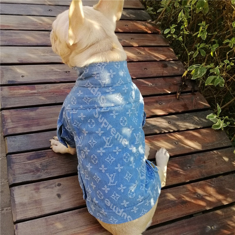 Chia sẻ với hơn 77 về louis vuitton dog sweater mới nhất  Du học Akina