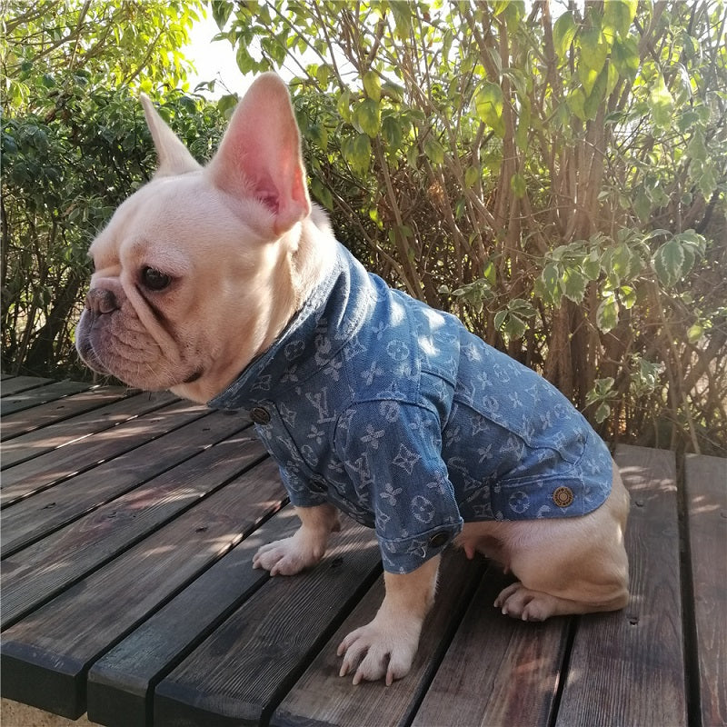 Dog Outfits, Other, Supreme Louis Vuitton Dog Hoodie
