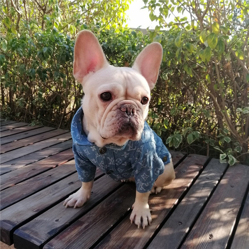 Supreme Louis Vuitton Dog coat
